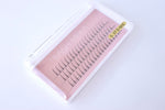 Spike Lash Extension Tray